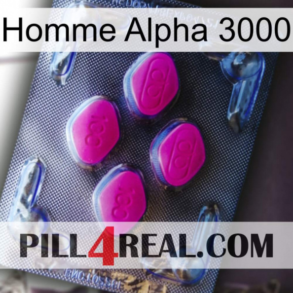 Alpha Man 3000 02
